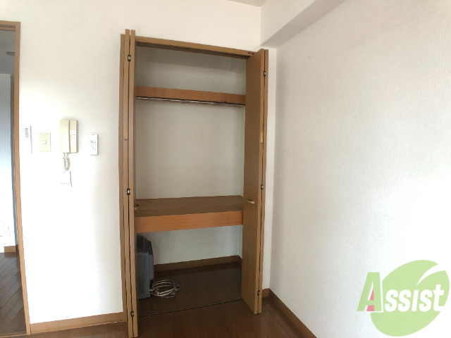 収納　クローゼットはここだけ。中の広さが気になります。