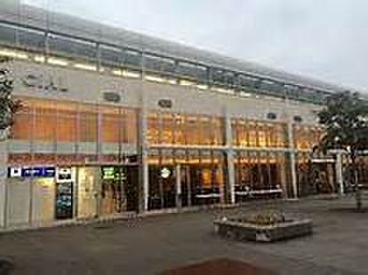 スーパー　ＣＩＡＬ（スーパー）まで800m