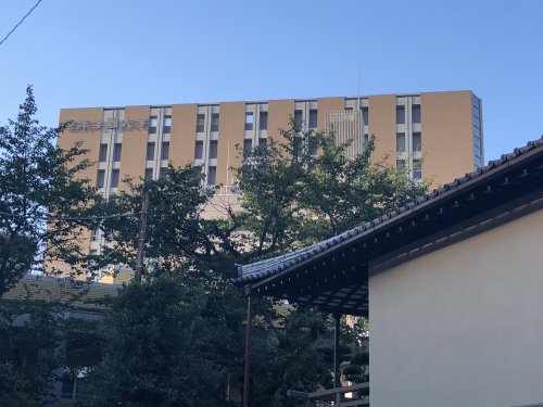 大学・短大　東洋学園大学（大学・短大）まで204m