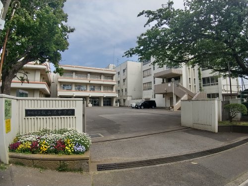 中学校　船橋市立飯山満中学校（中学校）まで806m