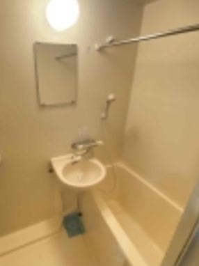 バス・シャワールーム　※同仕様写真含む