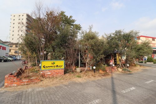 飲食店　キャナリィ・ロウ鶴見緑地店（飲食店）まで174m