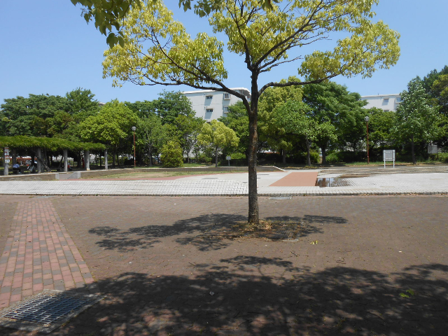 公園　千間台第四公園（公園）まで554m
