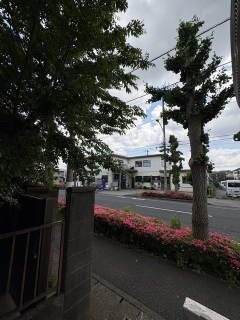 眺望