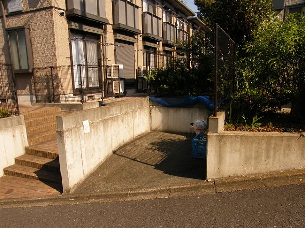 庭