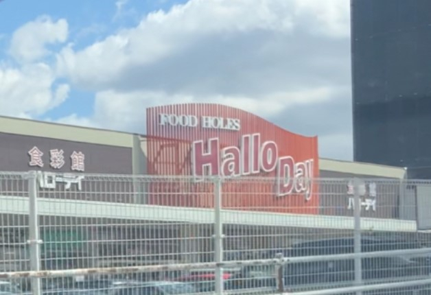 スーパー　HalloDay(ハローデイ) 共立大前店（スーパー）まで521m