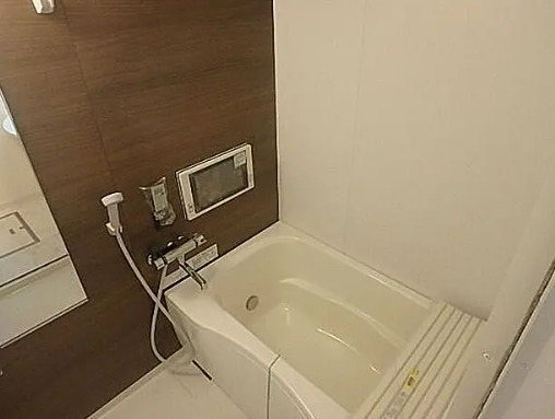 バス・シャワールーム　別タイプ部屋　参考写真です