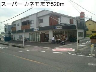 スーパー　スーパー カネモ（スーパー）まで520m