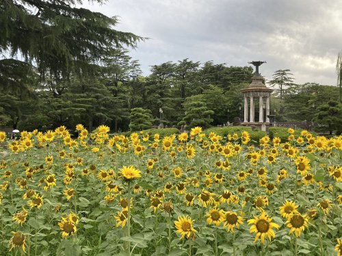 公園　鶴舞公園（公園）まで949m