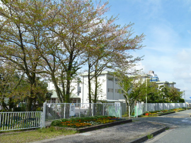 小学校　袋井市立山名小学校（小学校）まで546m