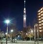 公園　大横川親水公園（公園）まで2310m