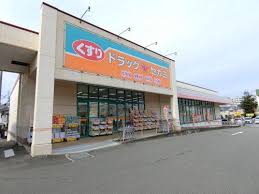 フジパレス堺三国ヶ丘V番館の周辺写真