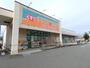 ドラックストア　ドラッグセガミ 黒土店（ドラッグストア）まで390m