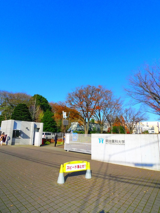大学・短大　明治薬科大学（大学・短大）まで900m