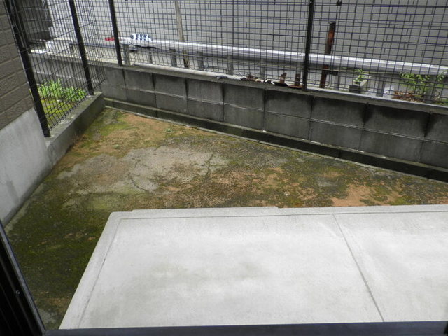 庭