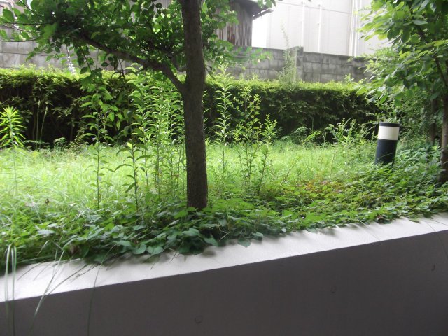 眺望　他のお部屋の参考写真となります。