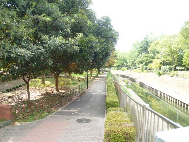 公園　和田堀公園（公園）まで267m