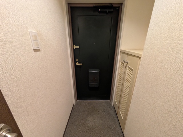 玄関　玄関です♪※清掃前です。