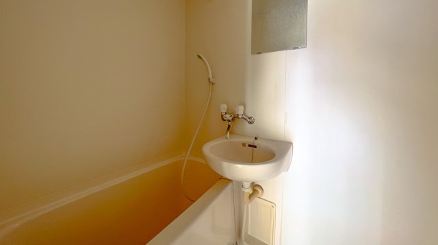 バス・シャワールーム　※反転タイプの間取りとなります。