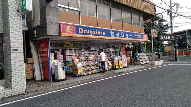 【川崎市麻生区片平のアパートのドラックストア】