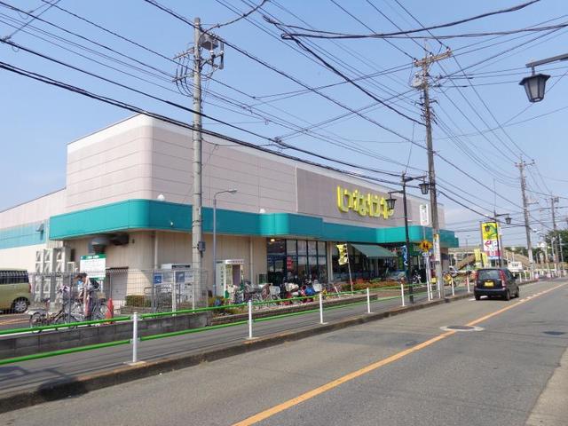 スーパー　いなげやむさし村山店（スーパー）まで1123m