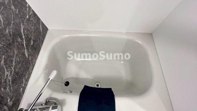 バス・シャワールーム　コンパクトで使いやすいお風呂です