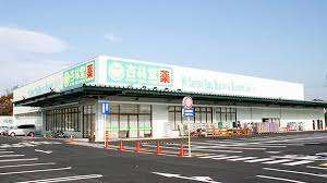 ドラックストア　杏林堂薬局清水三保店（ドラッグストア）まで940m