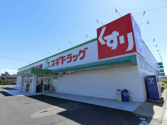 ドラックストア　スギ薬局松河戸店（ドラッグストア）まで254m