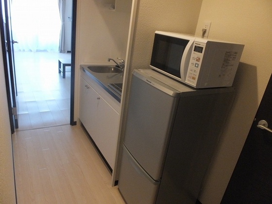 玄関　※別号室写真です