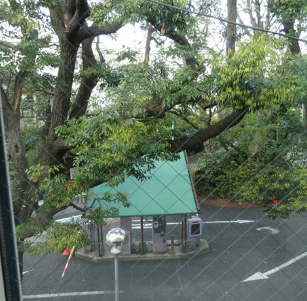 眺望　他部屋参考写真