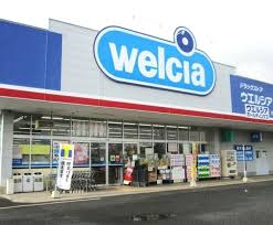 ドラックストア　ウエルシア上目黒2丁目店（ドラッグストア）まで791m