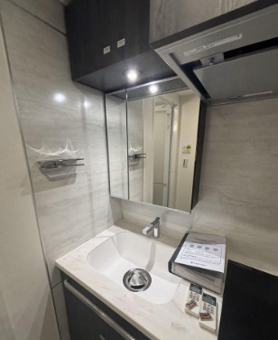 洗面設備　※別部屋の参考写真です。