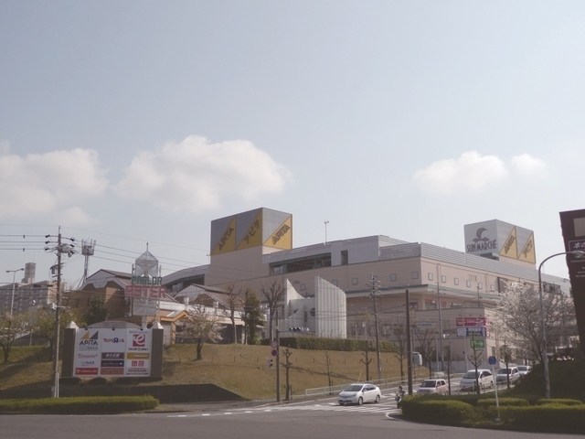 スーパー　アピタ高蔵寺店（スーパー）まで250m