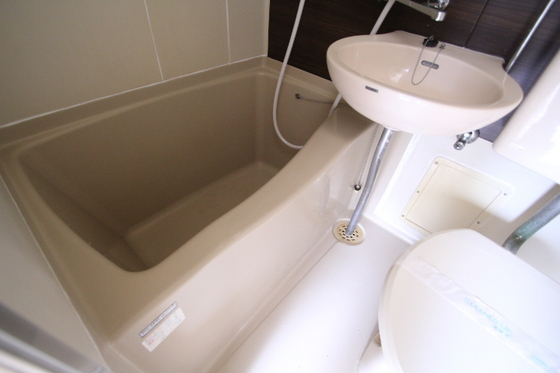 バス・シャワールーム　※別部屋の写真