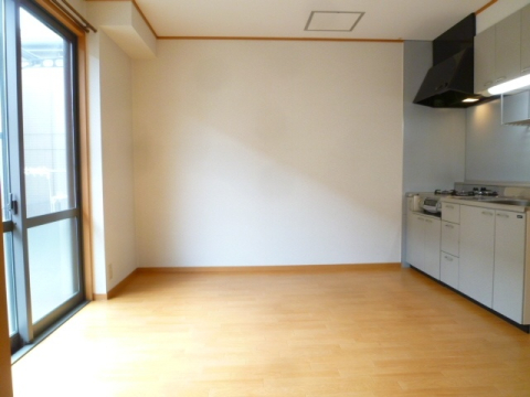 居室・リビング　※写真は他号室です