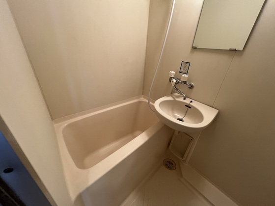 バス・シャワールーム　※別部屋の写真です