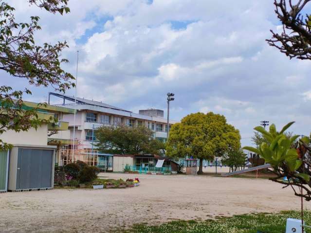 小学校　岡山市立大野小学校（小学校）まで781m