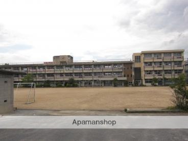 小学校　天理市立櫟本小学校（小学校）まで642m