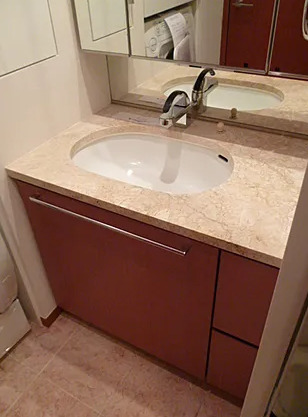 洗面設備　左右反転別部屋参考写真