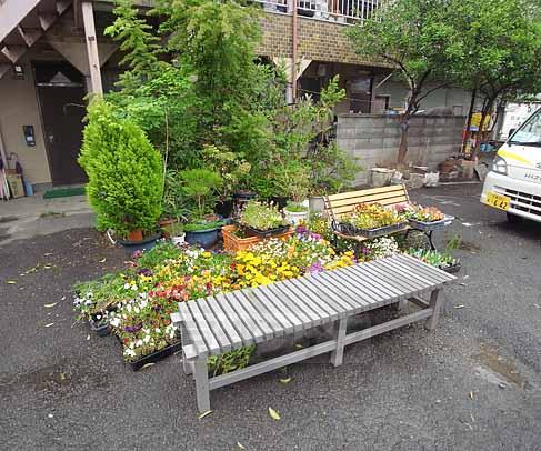 その他　横がフラワーショップ・