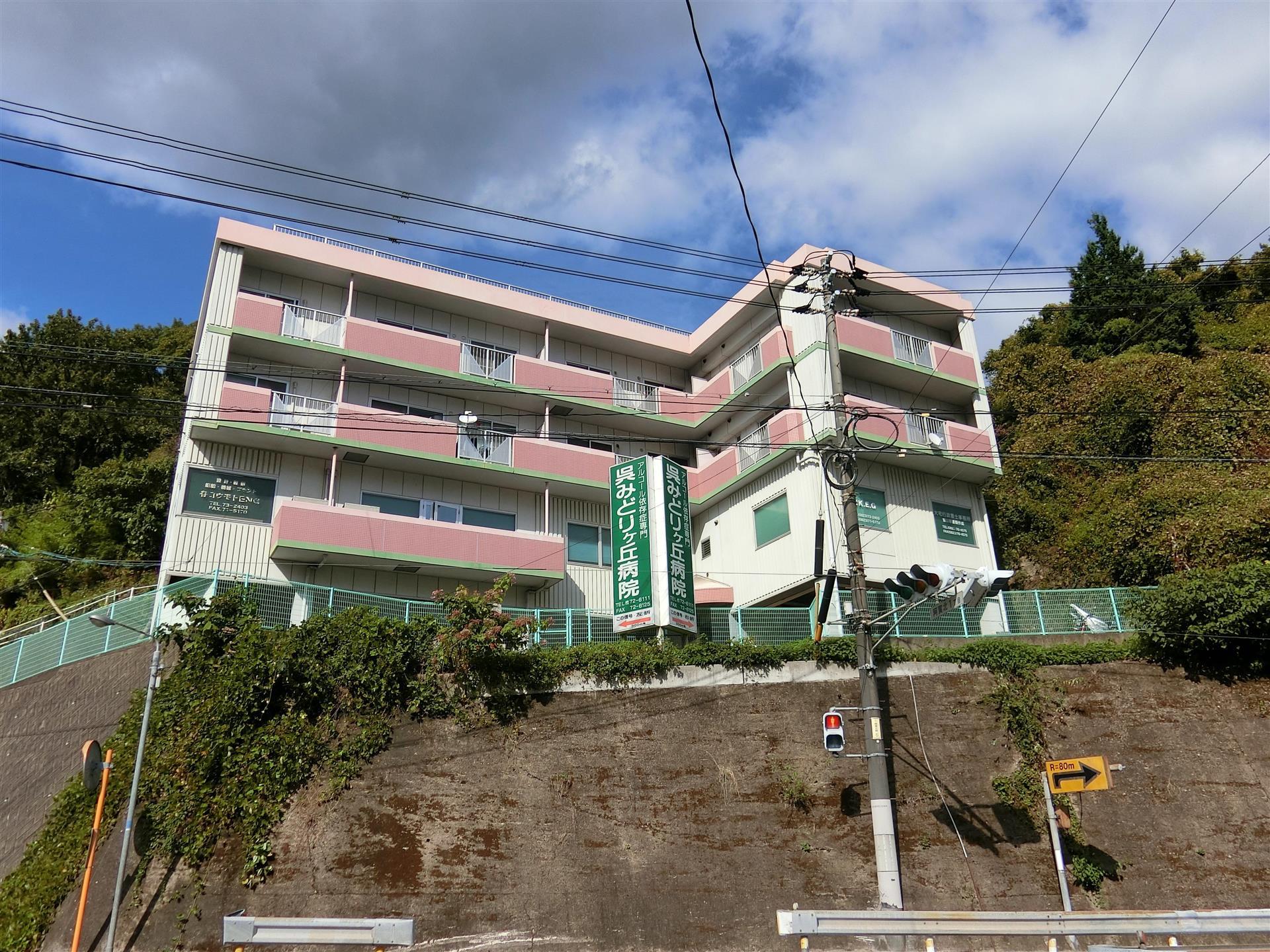 建物外観　1998年築　タートルズビル