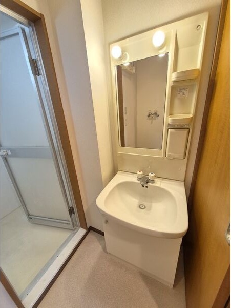 洗面設備　シャワードレッサー付きです！