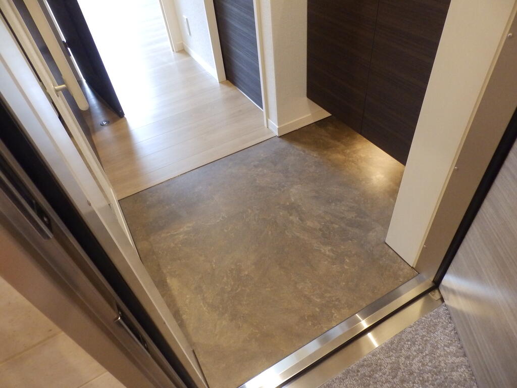 玄関　（同施工会社　参考写真）