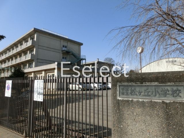 小学校　千葉市立松ケ丘小学校（小学校）まで710m