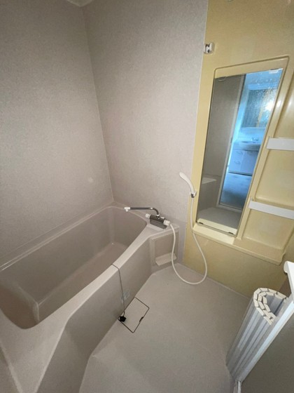 バス・シャワールーム　※別部屋の写真です