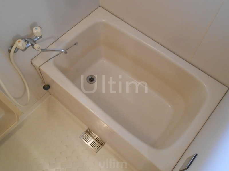 バス・シャワールーム　※同タイプの他のお部屋です