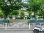 公園　塩浜公園（公園）まで242m