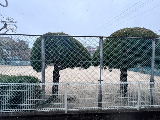 眺望　※別部屋の写真です