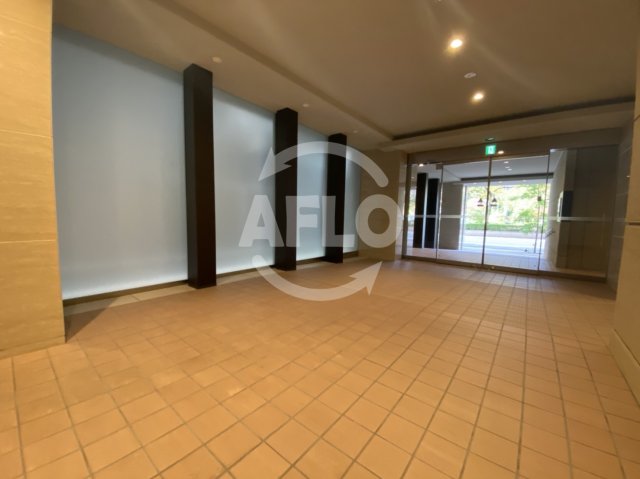 エントランス　ディオスカーボ難波　エントランス