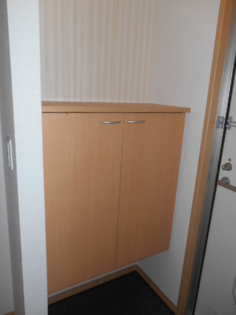 玄関　シューズボックス（カウンタータイプ）